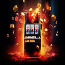 5588bet2