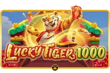5588bet2